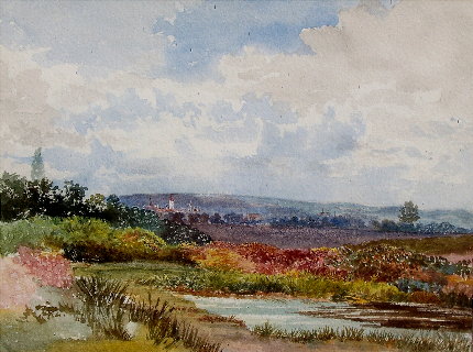 Country Landscape