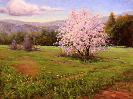 Almond Blossoms, Mountain View
