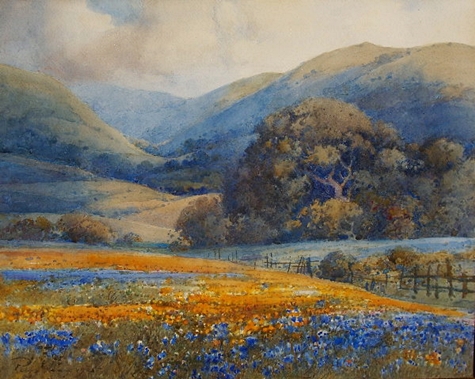 Landscape with Poppies & Lupine