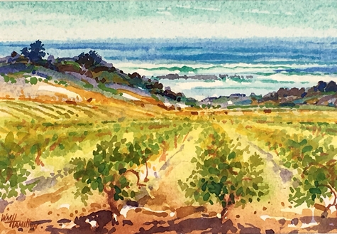 Coastal Vineyard
