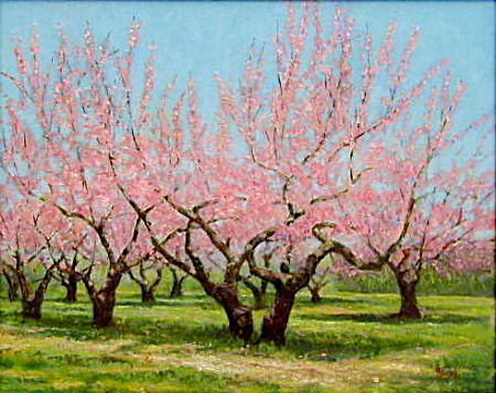 Blooming Orchard