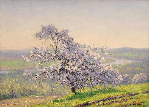 Cerisier L'arbre en Fleurs