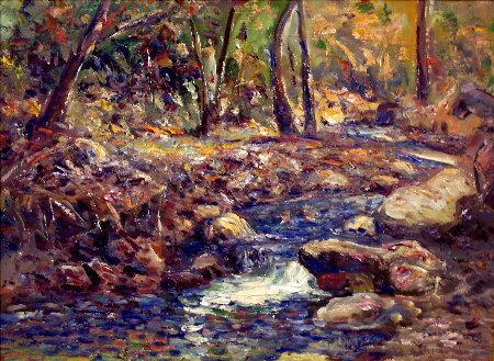 Creek at Wheeler's Ranger Station